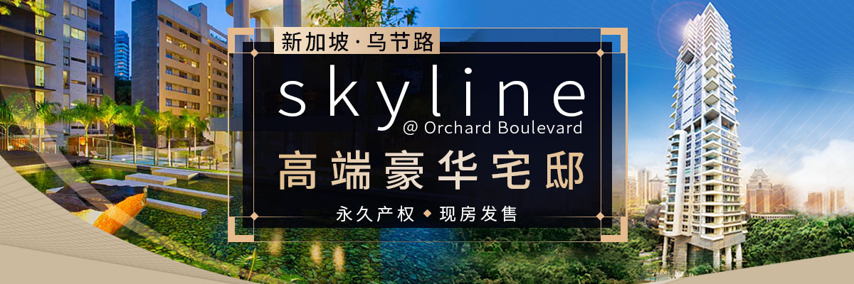 ¼ԶskylineԢ